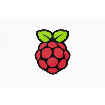 Pins officiel Raspberry Pi