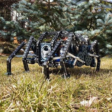 Robot Black Spider