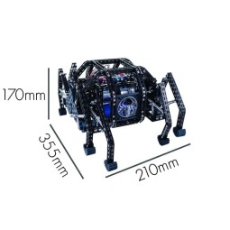 Robot Black Spider