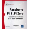 Raspberry Pi 3 ou Pi Zero - Auteur François MOCQ